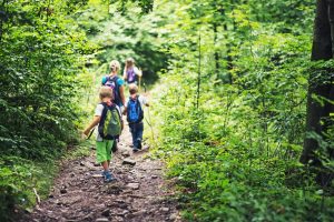 School Activity Trips: Forest Trekking